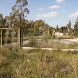 Ancora pi� grande e maestoso � il secondo parco abbandonato di Bitetto: il �Mater Domini�. Parliamo di un�area di 340mila metri quadri inserita in un�ex cava. Realizzato nel 1996 e costato ben 22 miliardi di vecchie lire, non � mai stato aperto. Anche qui troviamo una recinzione divelta